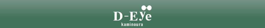 D-Eye kaminoura