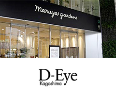 D-Eye kaminoura